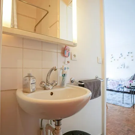 Appartement Nice Bright Studio On Rue Lecourbe 15Th *