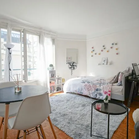 公寓 Nice Bright Studio On Rue Lecourbe 15Th